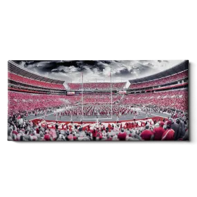 Alabama Crimson Tide - Bryant-Denny Monochrome Panoramic