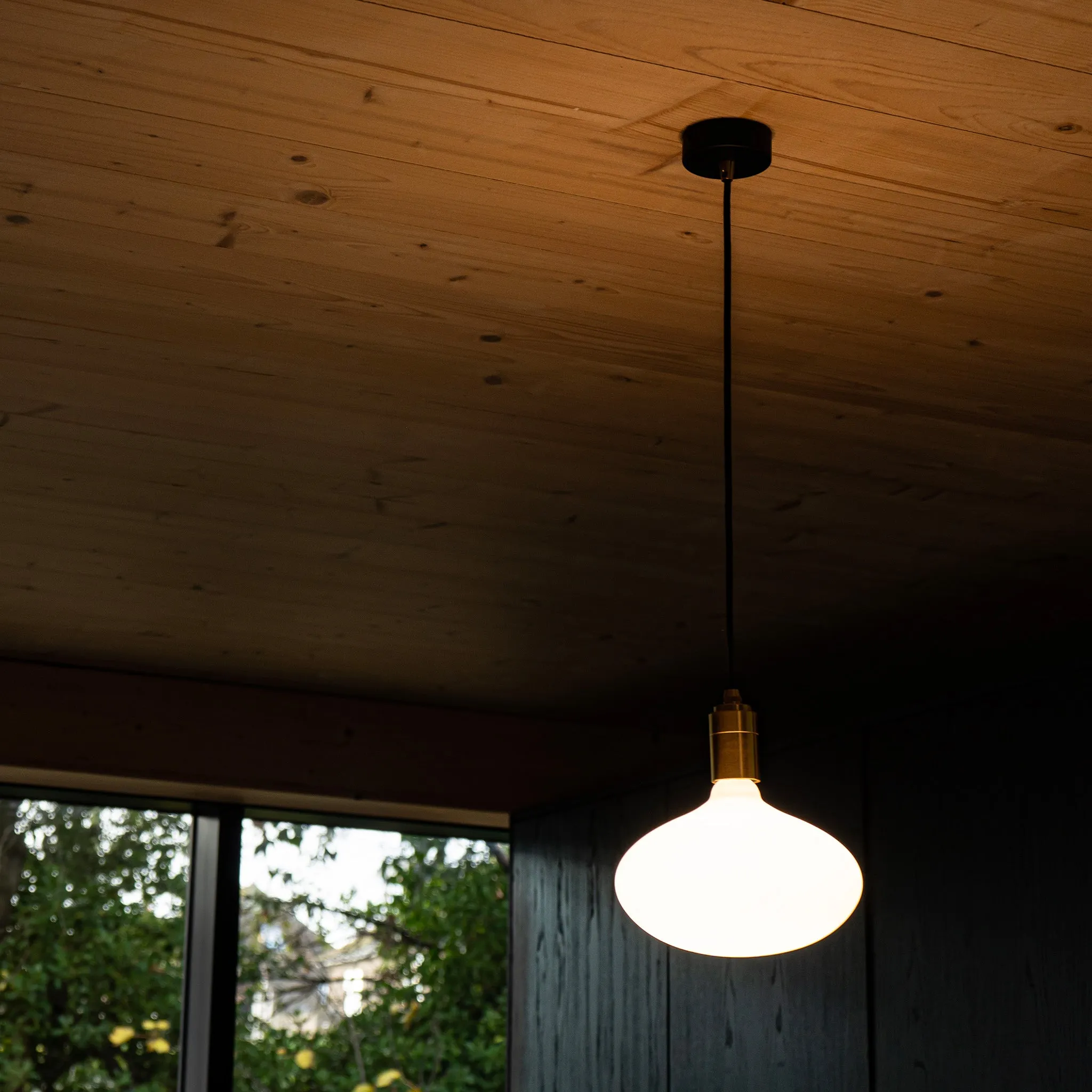 Oval II Pendant Light in Walnut