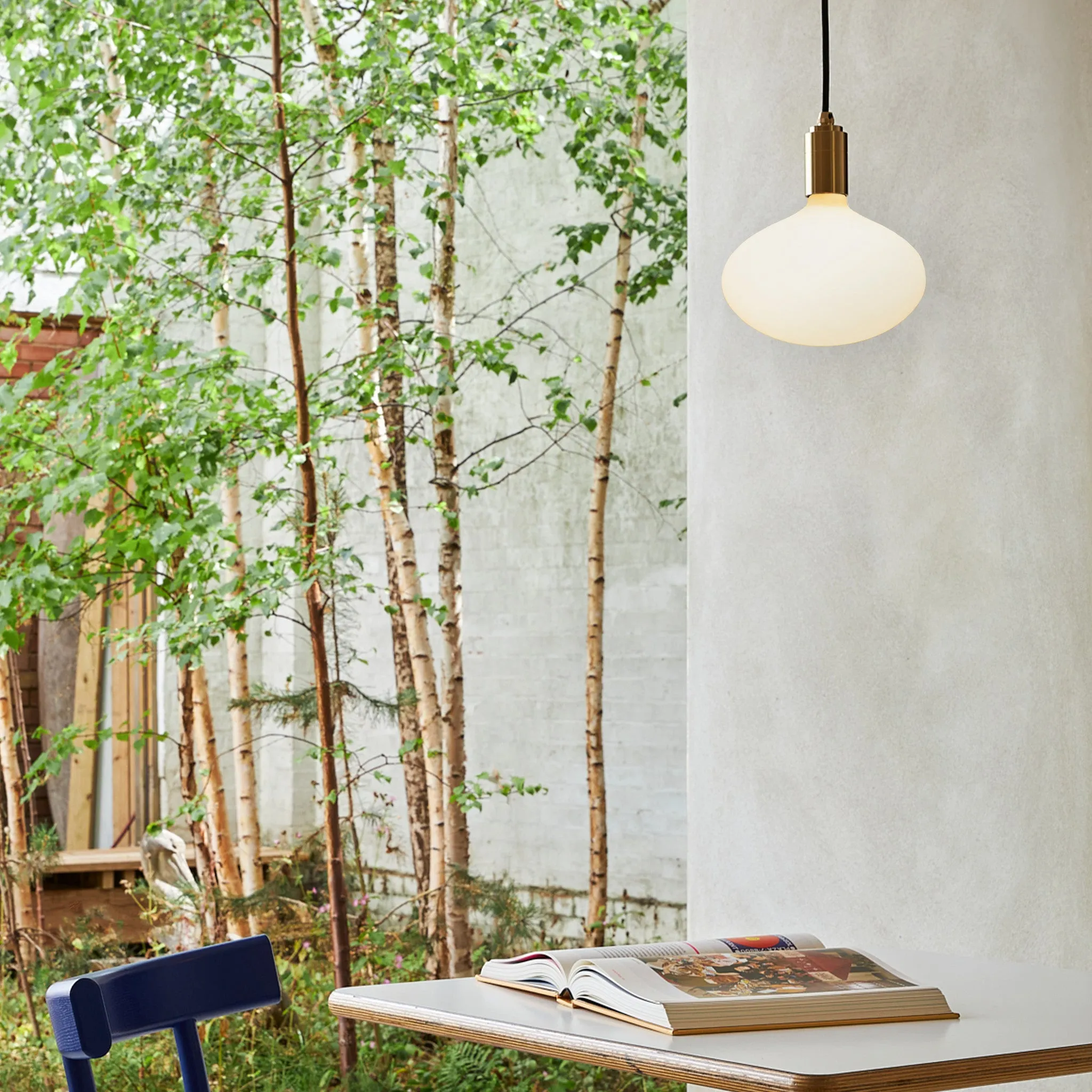 Oval II Pendant Light in Walnut