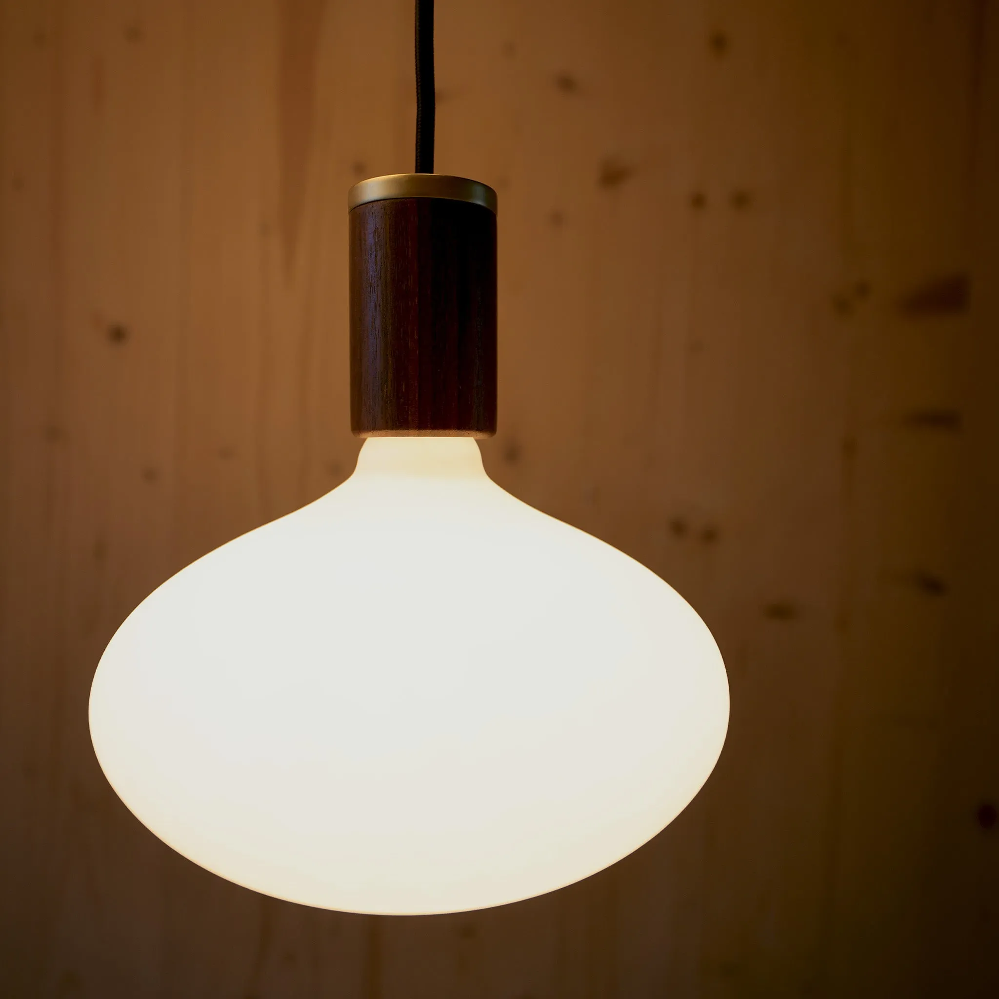 Oval II Pendant Light in Walnut